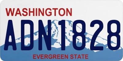 WA license plate ADN1828
