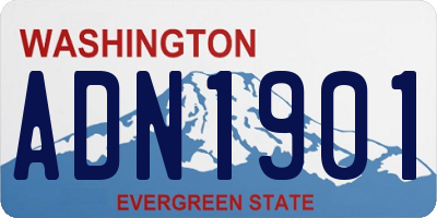 WA license plate ADN1901