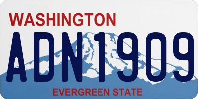 WA license plate ADN1909