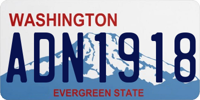 WA license plate ADN1918