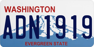 WA license plate ADN1919