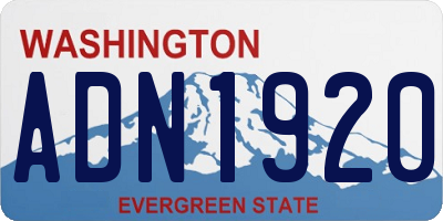 WA license plate ADN1920