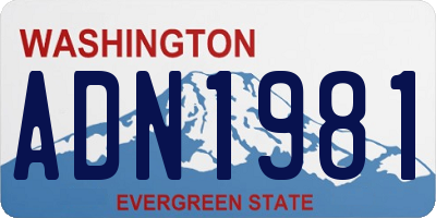 WA license plate ADN1981