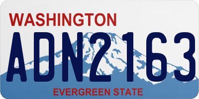WA license plate ADN2163