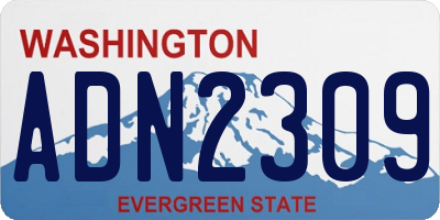 WA license plate ADN2309