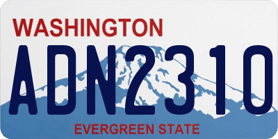 WA license plate ADN2310