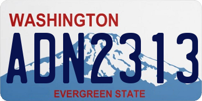 WA license plate ADN2313