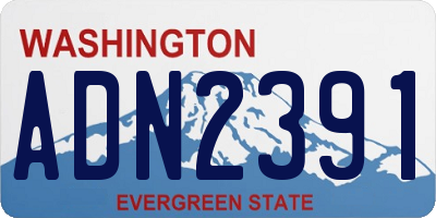 WA license plate ADN2391