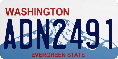 WA license plate ADN2491