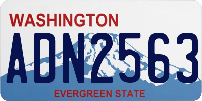 WA license plate ADN2563