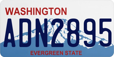 WA license plate ADN2895