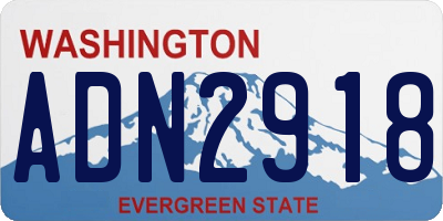 WA license plate ADN2918
