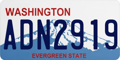WA license plate ADN2919