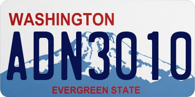 WA license plate ADN3010