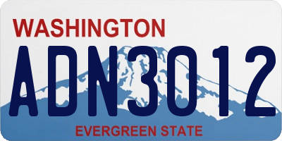 WA license plate ADN3012
