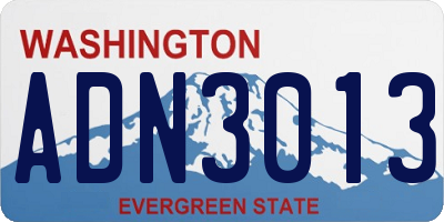 WA license plate ADN3013