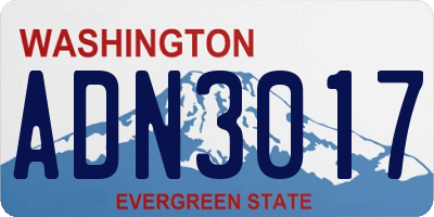 WA license plate ADN3017