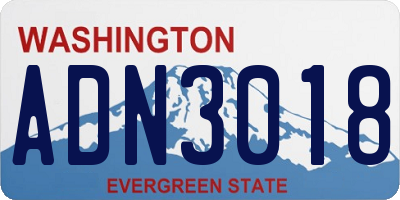 WA license plate ADN3018