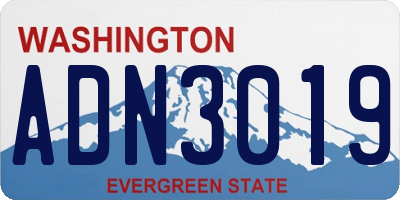 WA license plate ADN3019