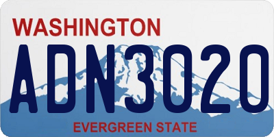 WA license plate ADN3020
