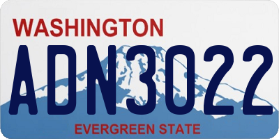 WA license plate ADN3022