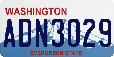 WA license plate ADN3029