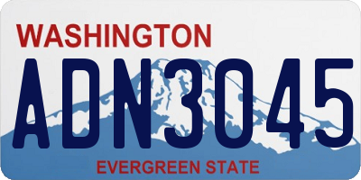 WA license plate ADN3045