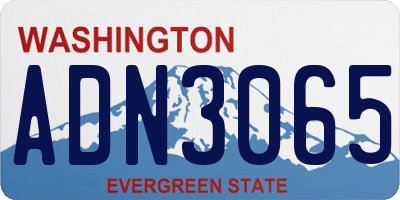 WA license plate ADN3065