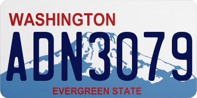 WA license plate ADN3079