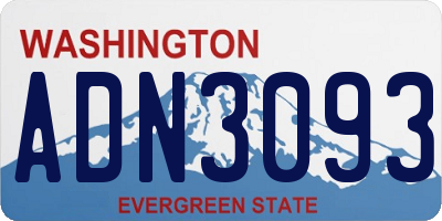 WA license plate ADN3093