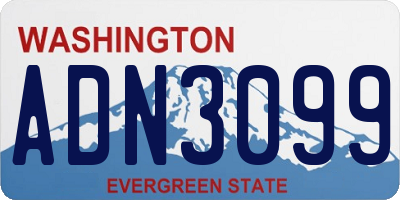 WA license plate ADN3099