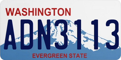 WA license plate ADN3113