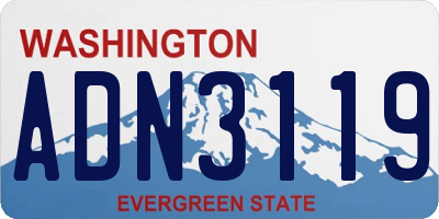 WA license plate ADN3119