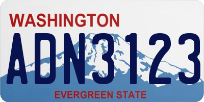 WA license plate ADN3123