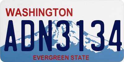 WA license plate ADN3134