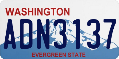 WA license plate ADN3137