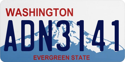 WA license plate ADN3141