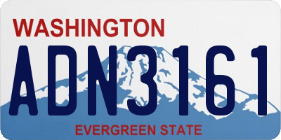 WA license plate ADN3161