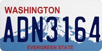 WA license plate ADN3164