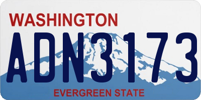 WA license plate ADN3173