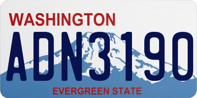 WA license plate ADN3190