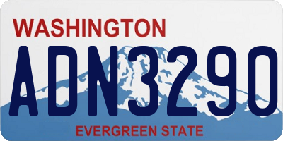 WA license plate ADN3290