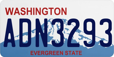 WA license plate ADN3293