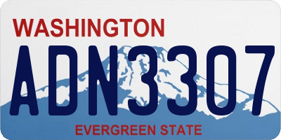 WA license plate ADN3307