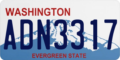 WA license plate ADN3317