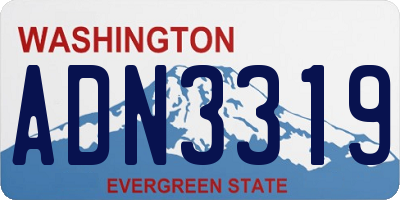 WA license plate ADN3319