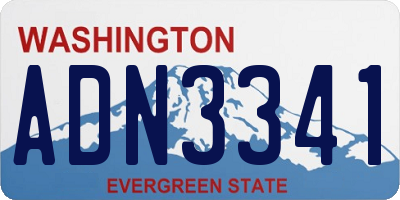 WA license plate ADN3341