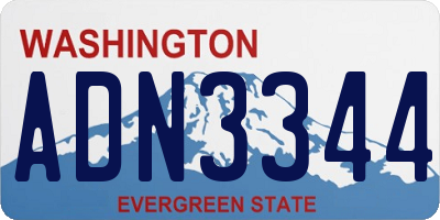 WA license plate ADN3344