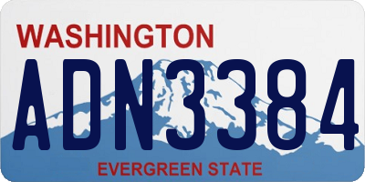 WA license plate ADN3384