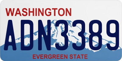 WA license plate ADN3389